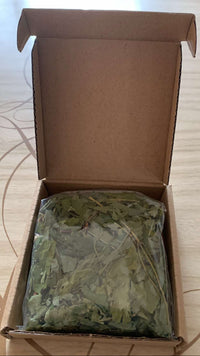 Boite feuilles ginseng séchées
